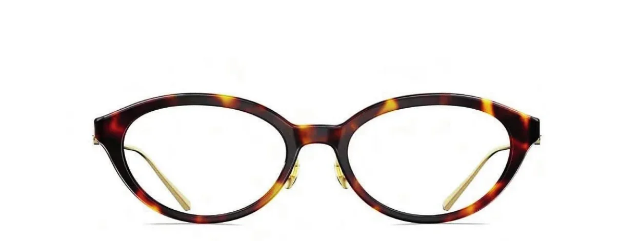 Gọng TR90 Molsion Courtney